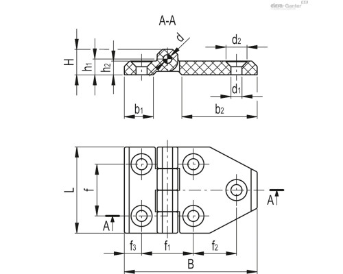 Петли CFM-TR-B.40-SH-5 (426001) ELESA+GANTER
