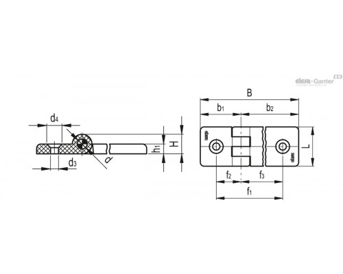 Петля CFG.30/30 SH-6 (423911) ELESA+GANTER