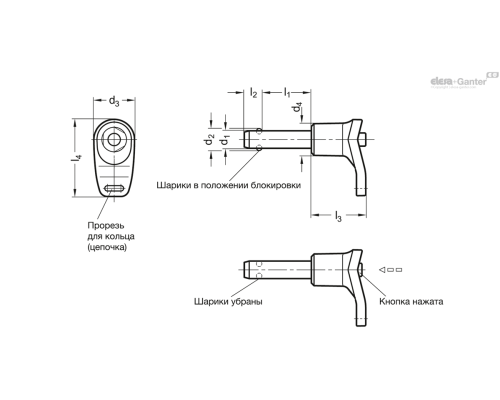 Штифт с шариковыми фиксаторами GN 113.11-25-70 ELESA+GANTER Штифт с шариковыми фиксаторами GN 113.11-25-70 ELESA+GANTER