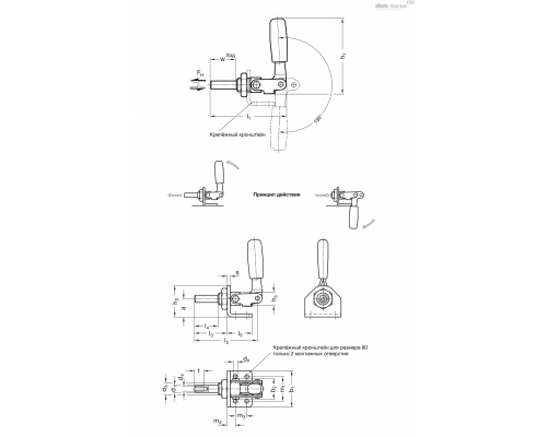 Зажим GN 843.1-340-AS ELESA+GANTER