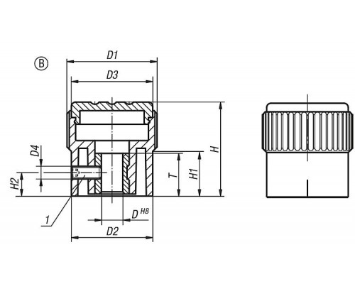 Ручка K0248.33082 Kipp