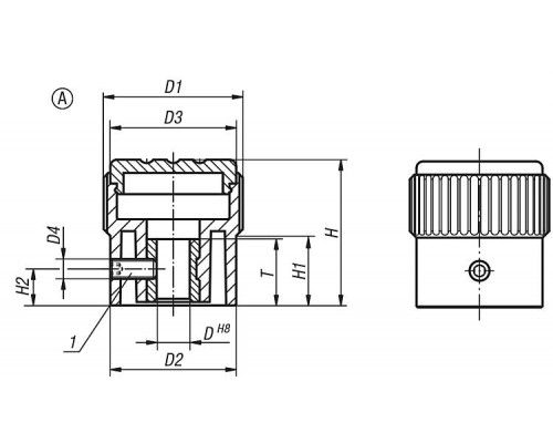 Ручка K0248.33082 Kipp