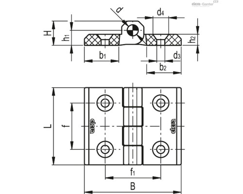 Петли CFMQ.60-45-SH-6 (425812) ELESA+GANTER