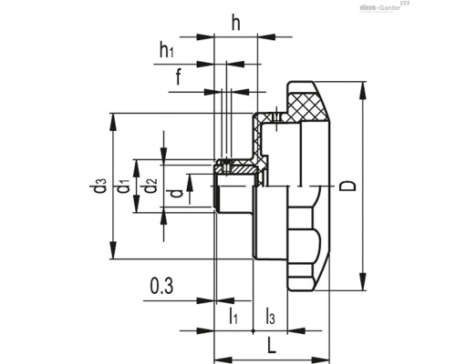 Лепестковая ручка VHT.110-GXX2-SST-12 (CE.30355) ELESA+GANTER