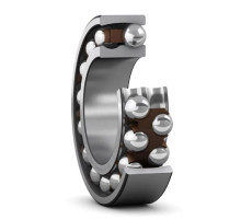 Подшипник 1006 (126TN9) (6x19x6) SKF
