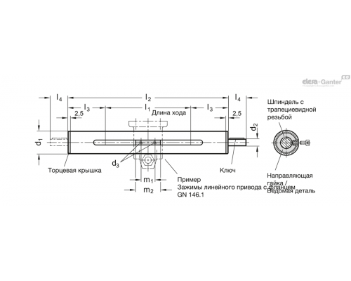 Позиционер GN 291-18-165-R1-SCR ELESA+GANTER