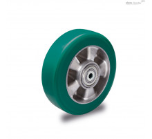 Колесо RE.F2-100-RSL (452411) ELESA+GANTER