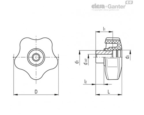 Лепестковая поворотная ручка VCHT.25 FP-AZ-5 (168782) ELESA+GANTER