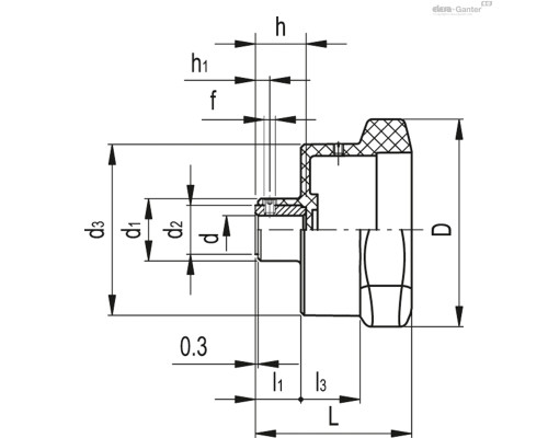 Лепестковая ручка VC.792/72-GXX1 A-10 (CE.30071) ELESA+GANTER Лепестковая ручка VC.792/72-GXX1 A-10 (CE.30071) ELESA+GANTER