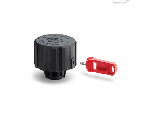 Крышка сапуна SFW.80-VP-3/4-F-350mb (54961) ELESA+GANTER