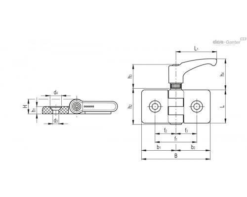 Петля CFG.30/60-ERS-SH-6 (423919) ELESA+GANTER