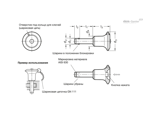 Штифт с шариковыми фиксаторами GN 113.10-8-45 ELESA+GANTER Штифт с шариковыми фиксаторами GN 113.10-8-45 ELESA+GANTER