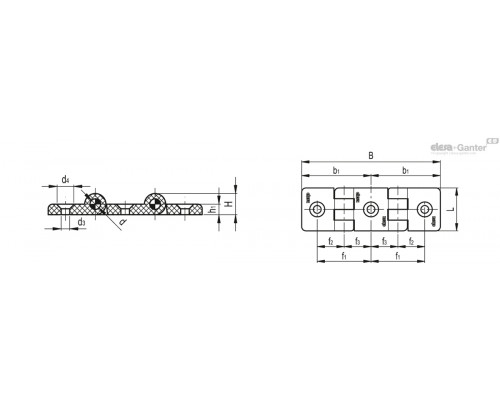 Петля CFI.60-30/30 SH-6-C33 (424411-C33) ELESA+GANTER