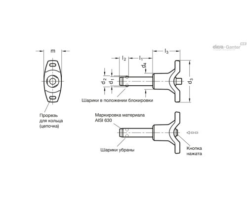 Штифт с шариковыми фиксаторами GN 113.8-10-70 ELESA+GANTER Штифт с шариковыми фиксаторами GN 113.8-10-70 ELESA+GANTER