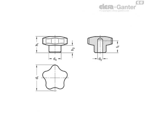 Лепестковая ручка GN 5336-50-B10-C-MT ELESA+GANTER