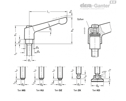 Регулируемая ручка рычажного типа GN 306-30-M6-25-DZ-SW ELESA+GANTER