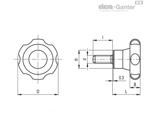 Лепестковая поворотная ручка VL.155/70 p-M12x50 (75272) ELESA+GANTER