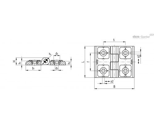 Петля CFR.60 SH-6 (426431) ELESA+GANTER
