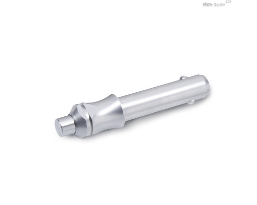 Штифт с шариковыми фиксаторами GN 113.3-6-20 ELESA+GANTER Штифт с шариковыми фиксаторами GN 113.3-6-20 ELESA+GANTER