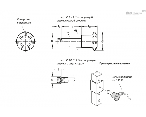 Установочный штифт GN 124.2-6-15 ELESA+GANTER