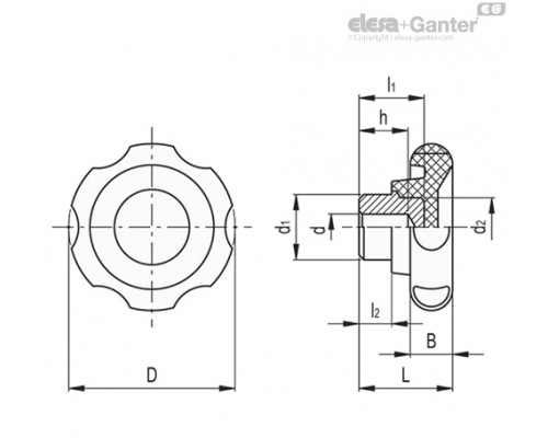 Лепестковая поворотная ручка VL.140/70 (74301) ELESA+GANTER