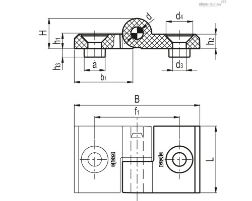 Петля CFGY.40/40 SH-6-D-10-C33 (423985-C33) ELESA+GANTER