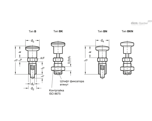 Штифт стопорный GN 818-4-4-B-A4 ELESA+GANTER Штифт стопорный GN 818-4-4-B-A4 ELESA+GANTER