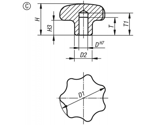 Ручка K0150.263123 Kipp