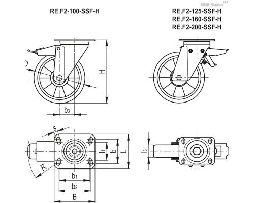 Колесико RE.F2-100-SSF-H (452441) ELESA+GANTER