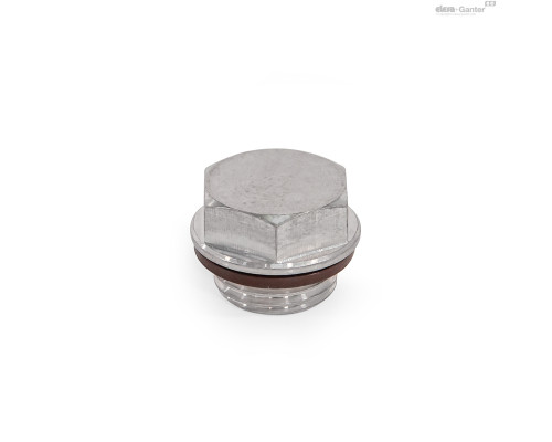 Заглушка GN 742.5-19-G1/4-O-1 ELESA+GANTER