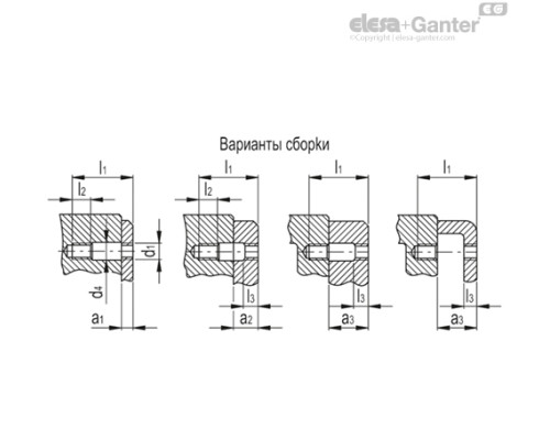 Фиксируемая рифлёная ручка BT-HP.20-AV-SST-p-M5x24 (105336) ELESA+GANTER Фиксируемая рифлёная ручка BT-HP.20-AV-SST-p-M5x24 (105336) ELESA+GANTER