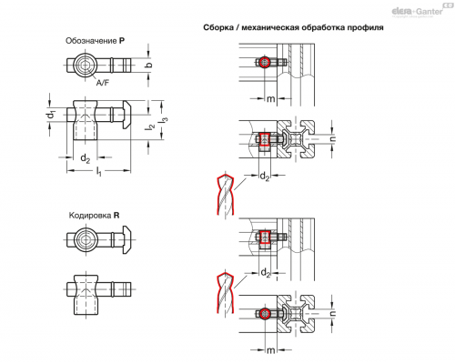 Соединитель GN 25b-8-A-R-SZ-4 ELESA+GANTER