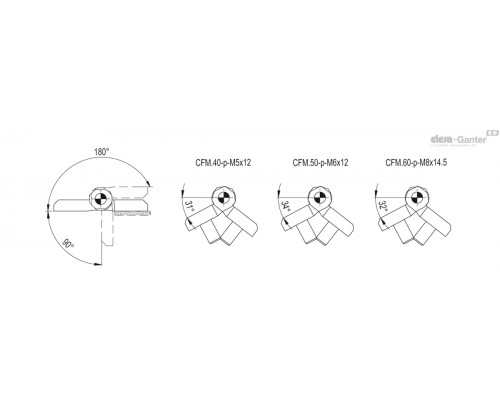 Петли CFM.60-SL-CH-6 (425822) ELESA+GANTER