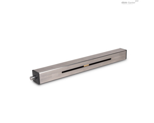 Линейный привод GN 291.1-30-200-R2-NI ELESA+GANTER