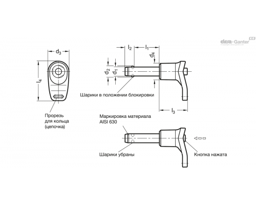 Штифт с шариковыми фиксаторами GN 113.12-12-70 ELESA+GANTER