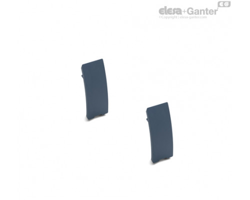 Заглушка ECS.T 2-C31 (29882-C31) ELESA+GANTER