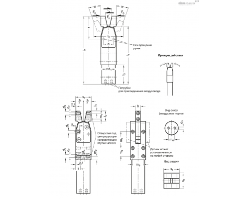 Зажим GN 866-20-BC-NC ELESA+GANTER