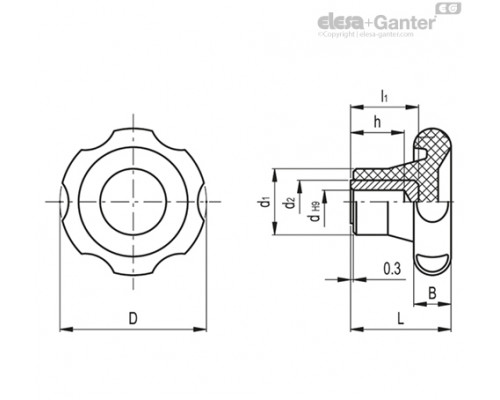 Лепестковая поворотная ручка VL.155/50 A-6 (75001) ELESA+GANTER