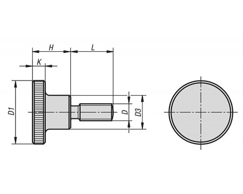 Ручка K0140.082X20 Kipp