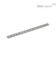 Линейка GN 711-NI-100-S-O ELESA+GANTER