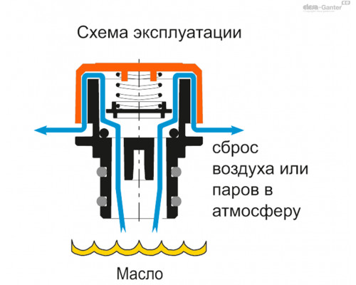 Пробка сапуна TP-SV.40-30-10mb+a-C2 (60381-C2) ELESA+GANTER