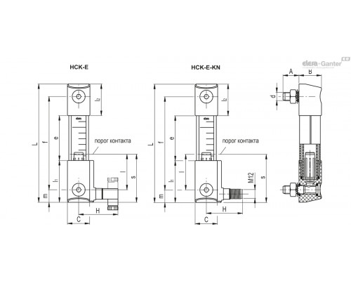 Индикатор HCK.176-A4-M12-FKM-GL-P-ENT-NO (114779) ELESA+GANTER