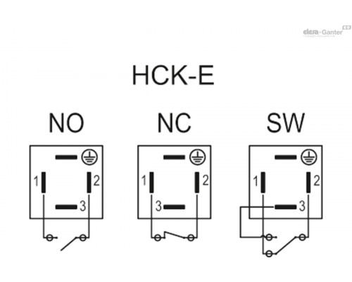 Индикатор HCK.176-A4-M12-FKM-GL-P-ENT-NO (114779) ELESA+GANTER