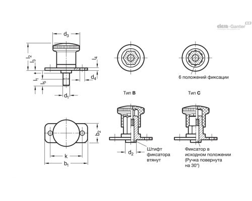 Штифт стопорный GN 822.12-5-12-B ELESA+GANTER