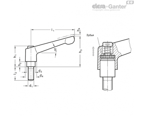 Регулируемая ручка рычажного типа GN 300.2-30-M4-25-SW ELESA+GANTER