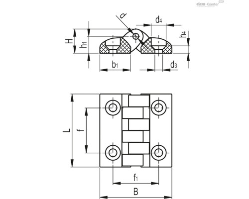 Петли CFTX.40 SH-4-C16 (427216) ELESA+GANTER