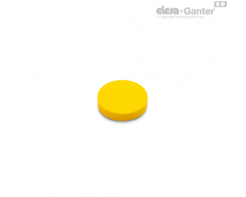 Крышка ECA.IZN.381/50-C4 (29916-C4) ELESA+GANTER