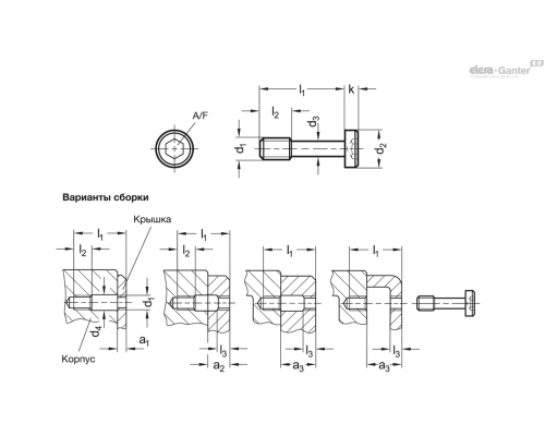 Винт установочный GN 7984.2-M6-25-NI ELESA+GANTER