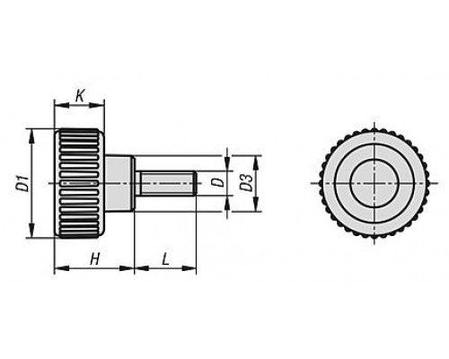 Ручка K1473.3208X20 Kipp
