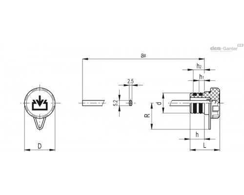 Колпачок TP-C.20+A-RC-C9 (60515-C9) ELESA+GANTER